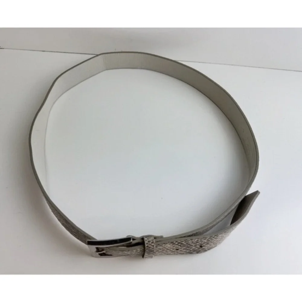 New York & Co Snakeskin Print Belt Beige Brown Silver Buckle L Preppy chic 47-58